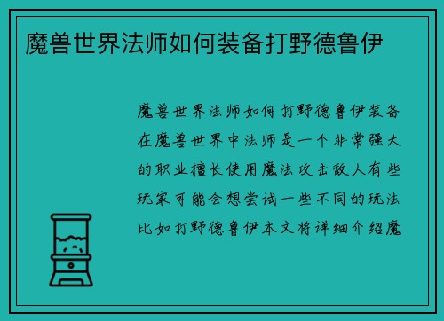 魔兽世界法师如何装备打野德鲁伊